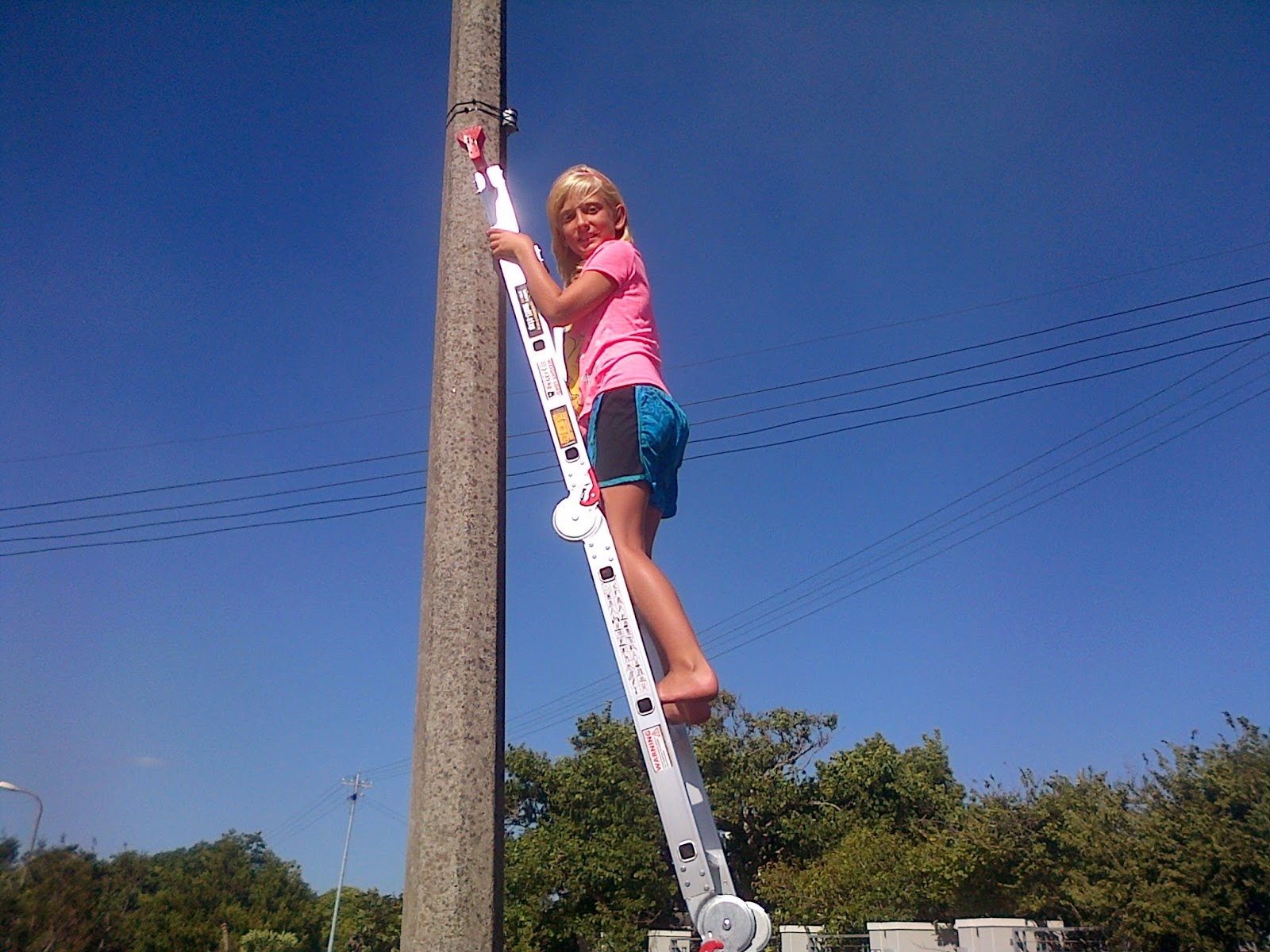 Port Elizabeth Daily Photo What's Drama Princess doing up a ladder?