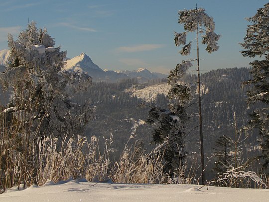 Giewont i dalsze szczyty Tatr Zachodnich widoczne z granicy na Górkowym Wierchu.