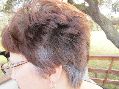 growing out my gray hair www.sewplus.blogspot.com