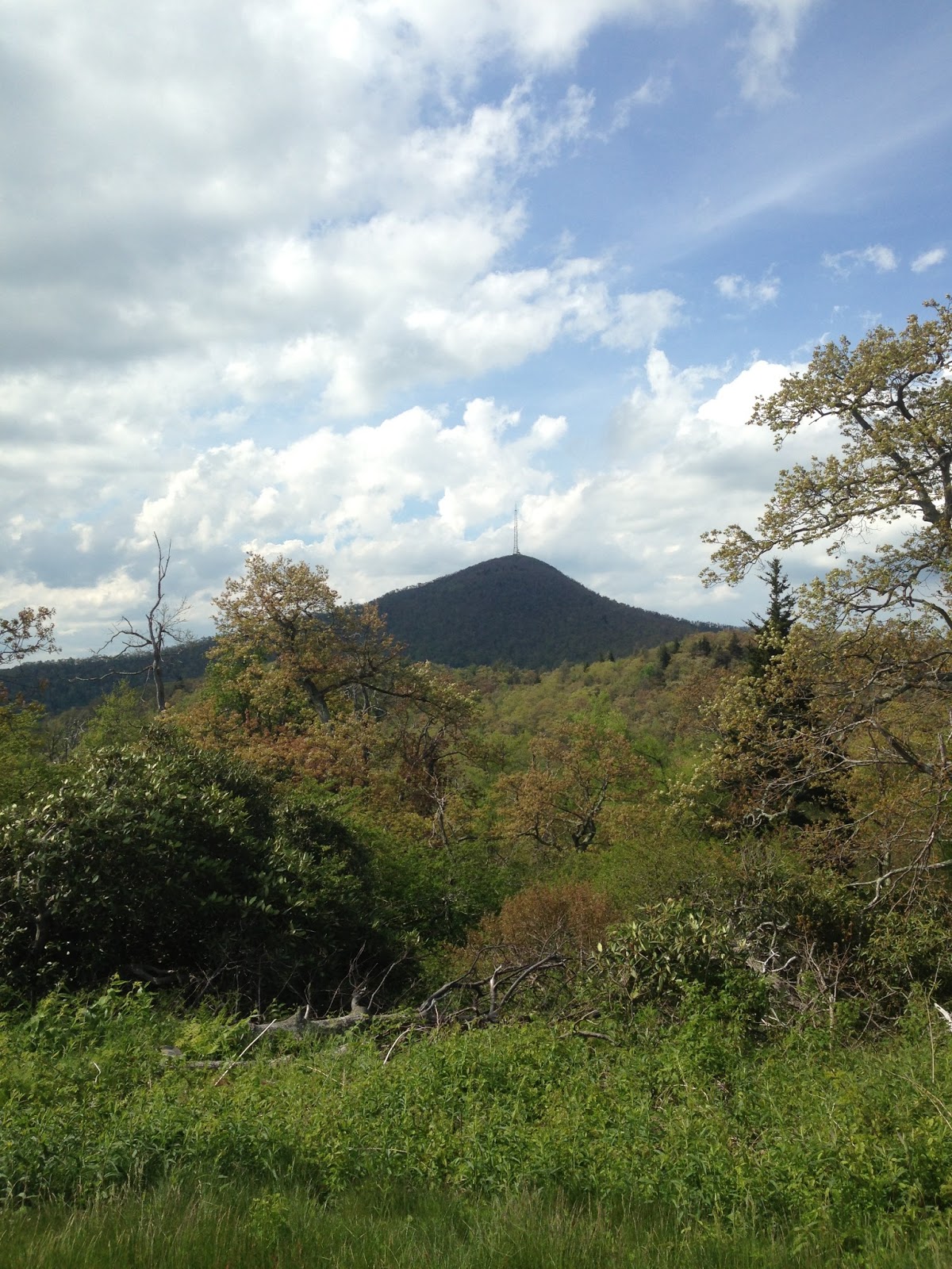 JuneBug Commentary Majestic Mount Pisgah