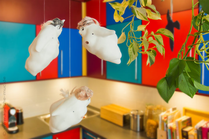 Wir renovieren Ihre Küche : Neue Farben fuer die Kueche