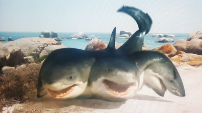 Нападение восьмиглавой акулы фильм 2018. Нападение пятиглавой акулы фильм 2015. Акула с пятью головами. Акула с пятью головами. Нападение пятиглавой акулы фильм 2015.