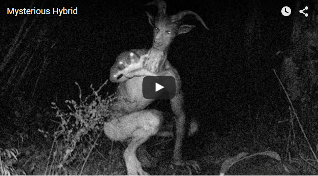 Goat Man alleged sightings became viral on social media, find out why ...