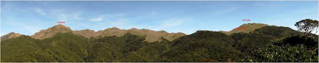 mt pulag, Mt. Pulag Ranges, Mt. Pulag Benguet, mt pulag ambangeg trail, mt pulag benguet, luzon highest peak, mt pulag easy trail, mt pulag views, mt pulag summit
