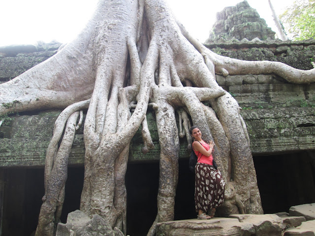 Raíces en Ta Prohm Raíces en Ta Prohm en Angkor, Camboya