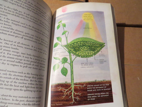 Child's World Enclopedia