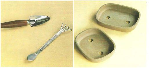 Cara Penanaman Bonsai