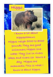 Mrs. Smith's Class: Hippos