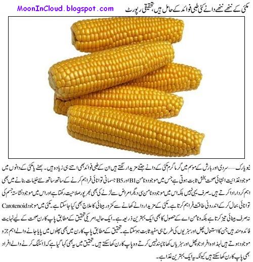 Challi Makai Corn Benefits In Urdu Faiday Fawaid Tareeqa Tarika challi-makai-corn-benefits-in-urdu-faiday-fawaid-tareeqa-tarika