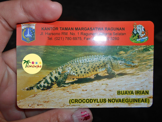 Alasan Kenapa Piknik ke Ragunan Zoo Itu Asyik ~ Catatan Traveling Ika