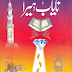 Nayab Hera Urdu Book By Saleem Rauf