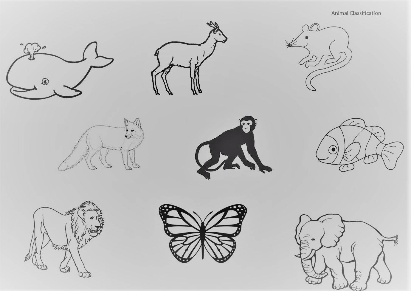Compare animals. Big small animals Worksheets. Размеры животных Worksheet. Big or small animals Worksheets for Kids. Worksheets животные Африки для детей.