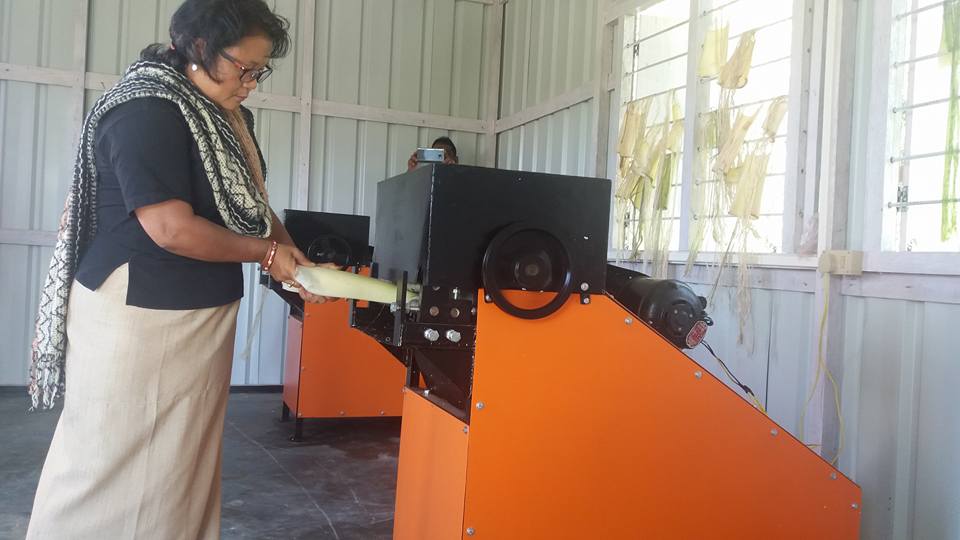 Eco Green Unit Banana fibre project launched in Manipur