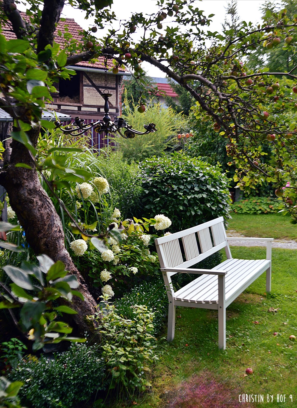 Hof 9: Garten, Hortensien und ein DIY