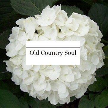 Old Country Soul