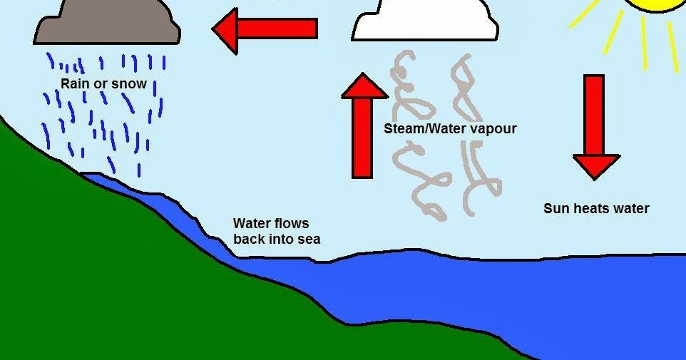 Abbie's Graphics Journal: Research - The Water Cycle