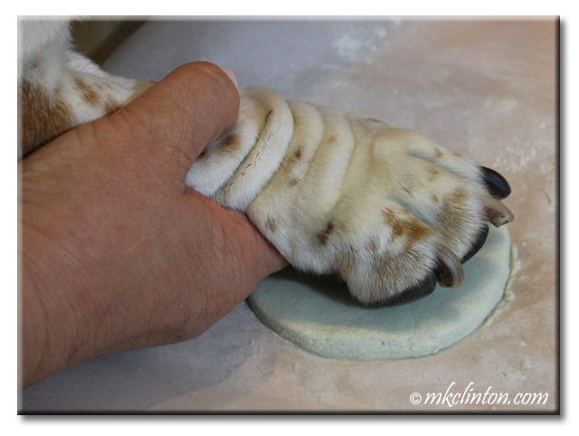 Basset paw in dough