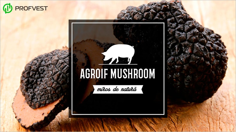 Agroif Mushroom: обзор, отзывы, личный опыт Agroif Mushroom обзор, отзывы и личный опыт