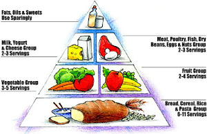<b>The Food Pyramid</b>