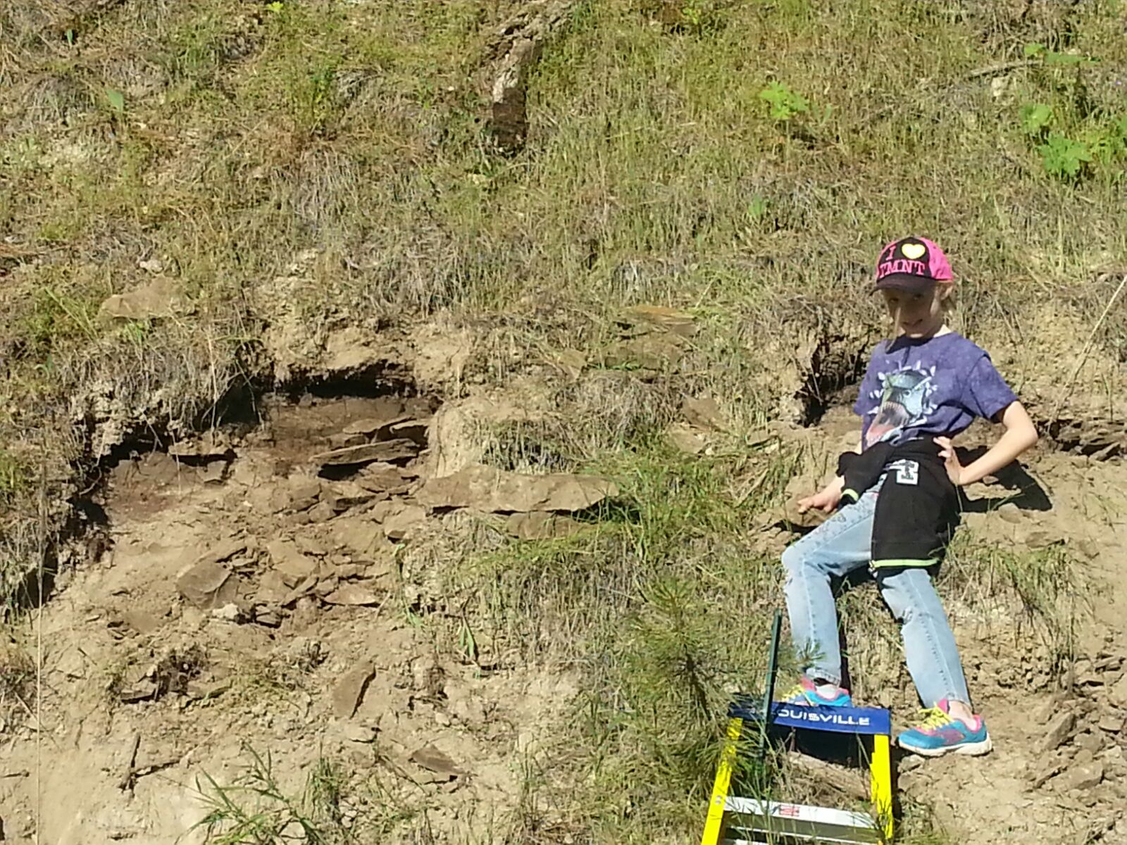 fossil digging near me