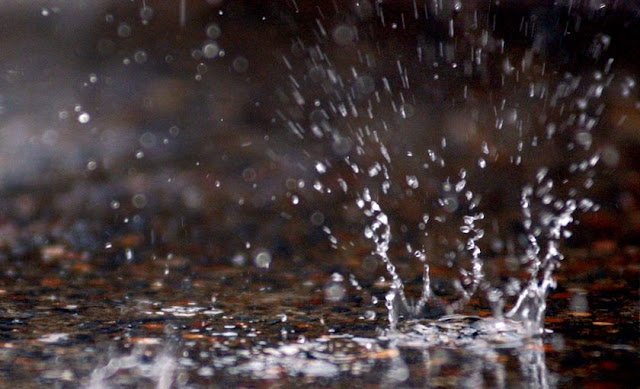 Terungkap! 7 Fakta Yang Terjadi Ketika Turun Hujan Pertama Pada Setiap Musimnya