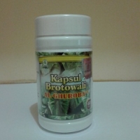 KAPSUL BROTOWALI KAPSUL BROTOWALI