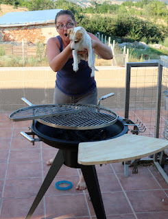 Are we going to have hot dog on our BBQ? Are we going to have hot dog on our BBQ?