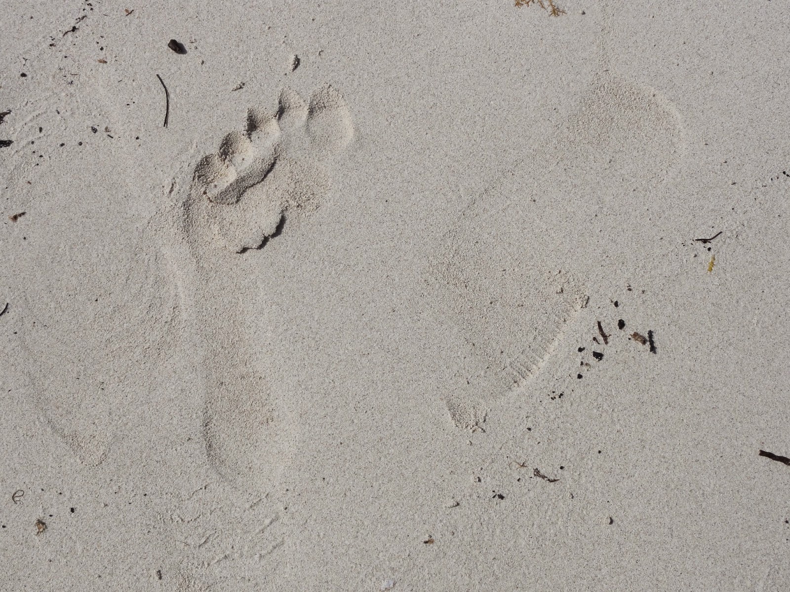 JeanYves Fortin, diacre Blogue Parole de Dieu et commentaire