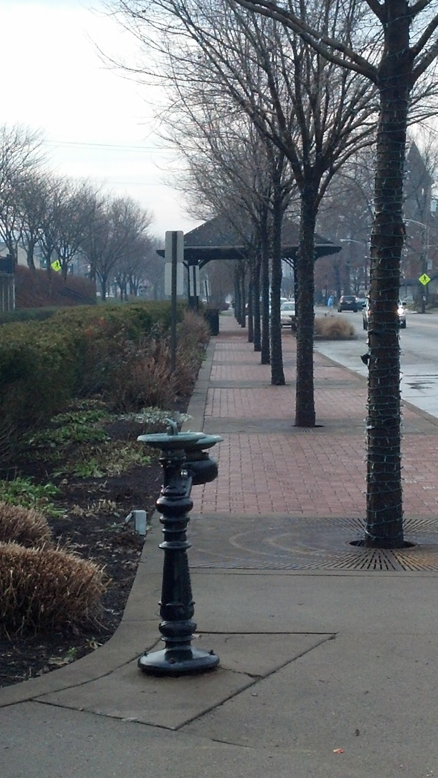 The Burgh's Burn and Brunch Oakmont Arboretum Trail and Oakmont Bakery