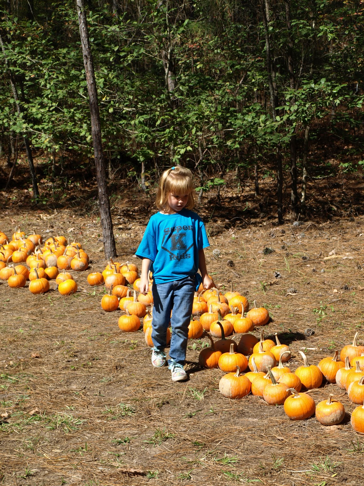 pumpkin patch farm field trip