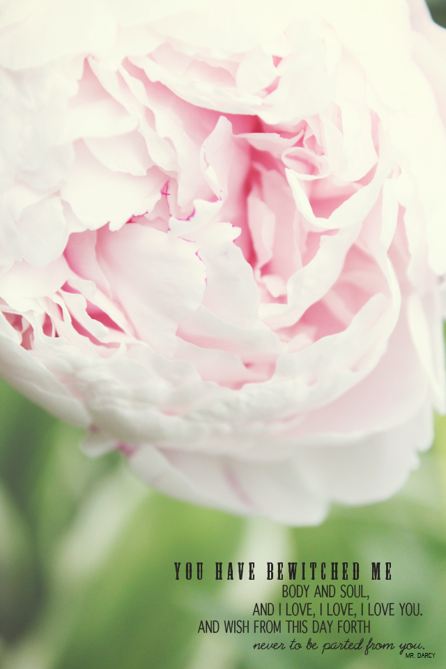 The Ardent Sparrow: Inspired by Mr. Darcy