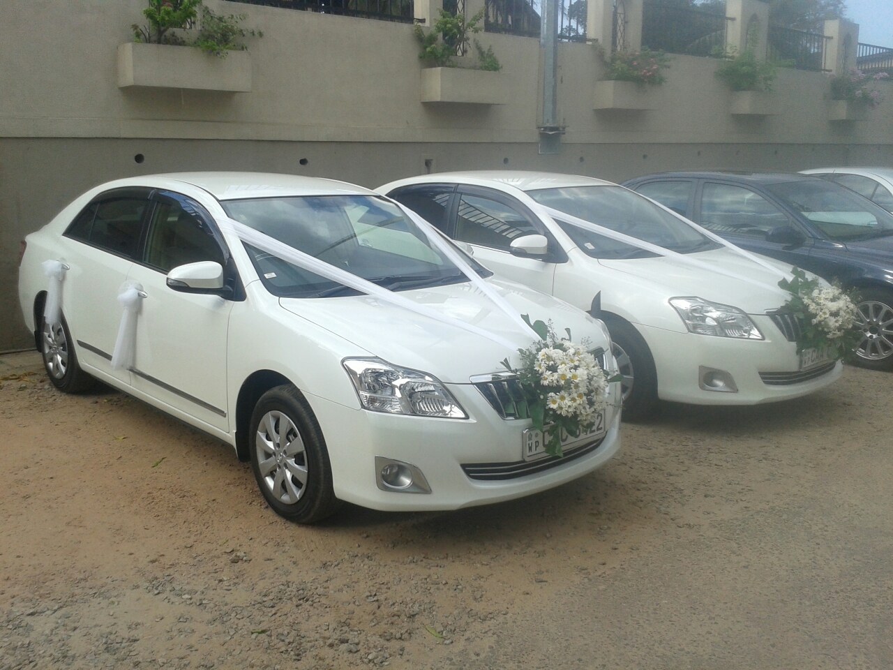 Wedding dreams rent a car Gampaha