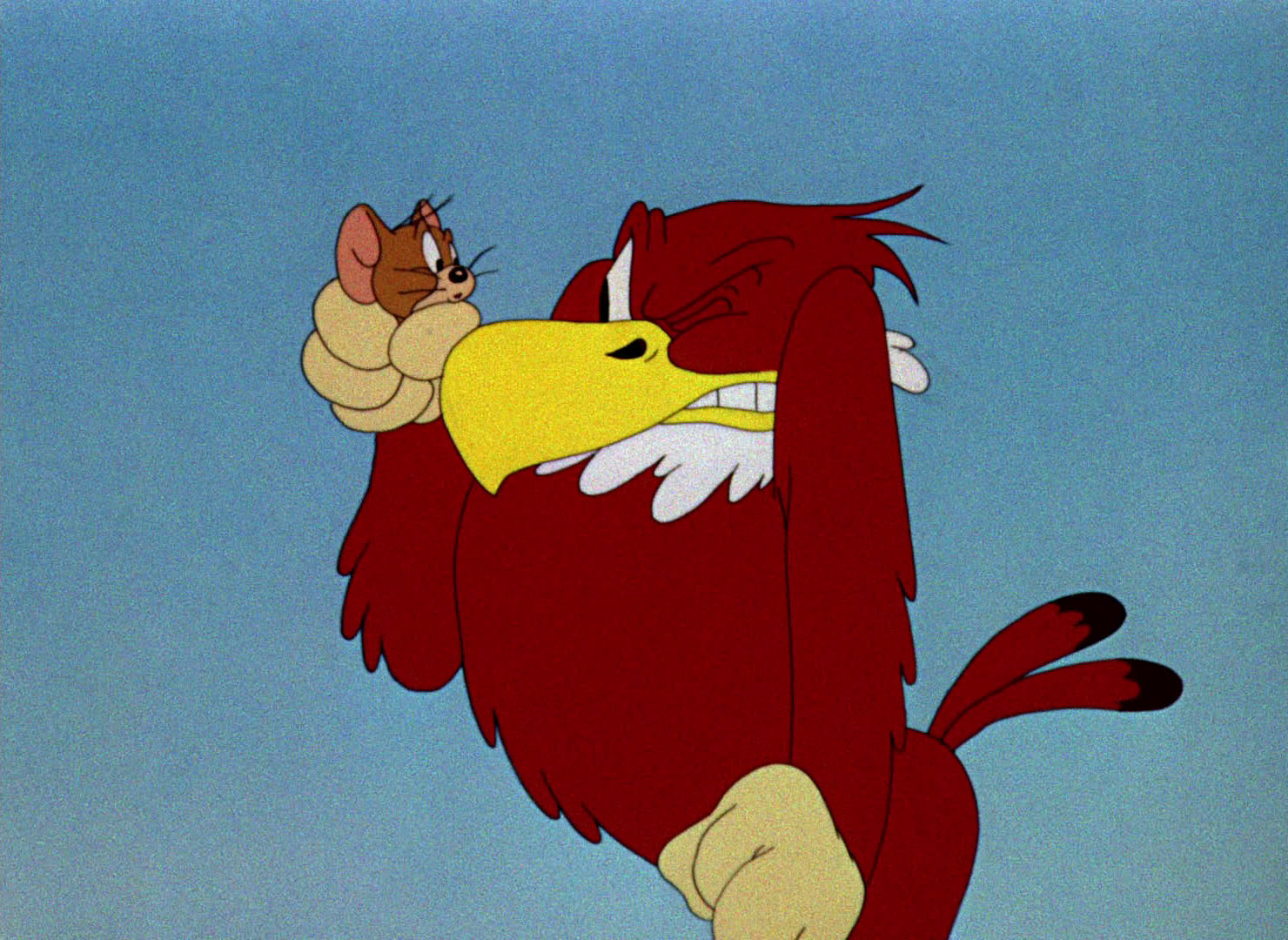 том и джерри птички. том и джерри канарейка. том и джерри кокетливая птичка. том и джерри птички. том и джерри 1992.