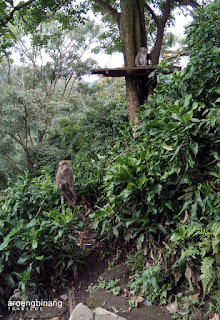 curug cimahi bandung barat
