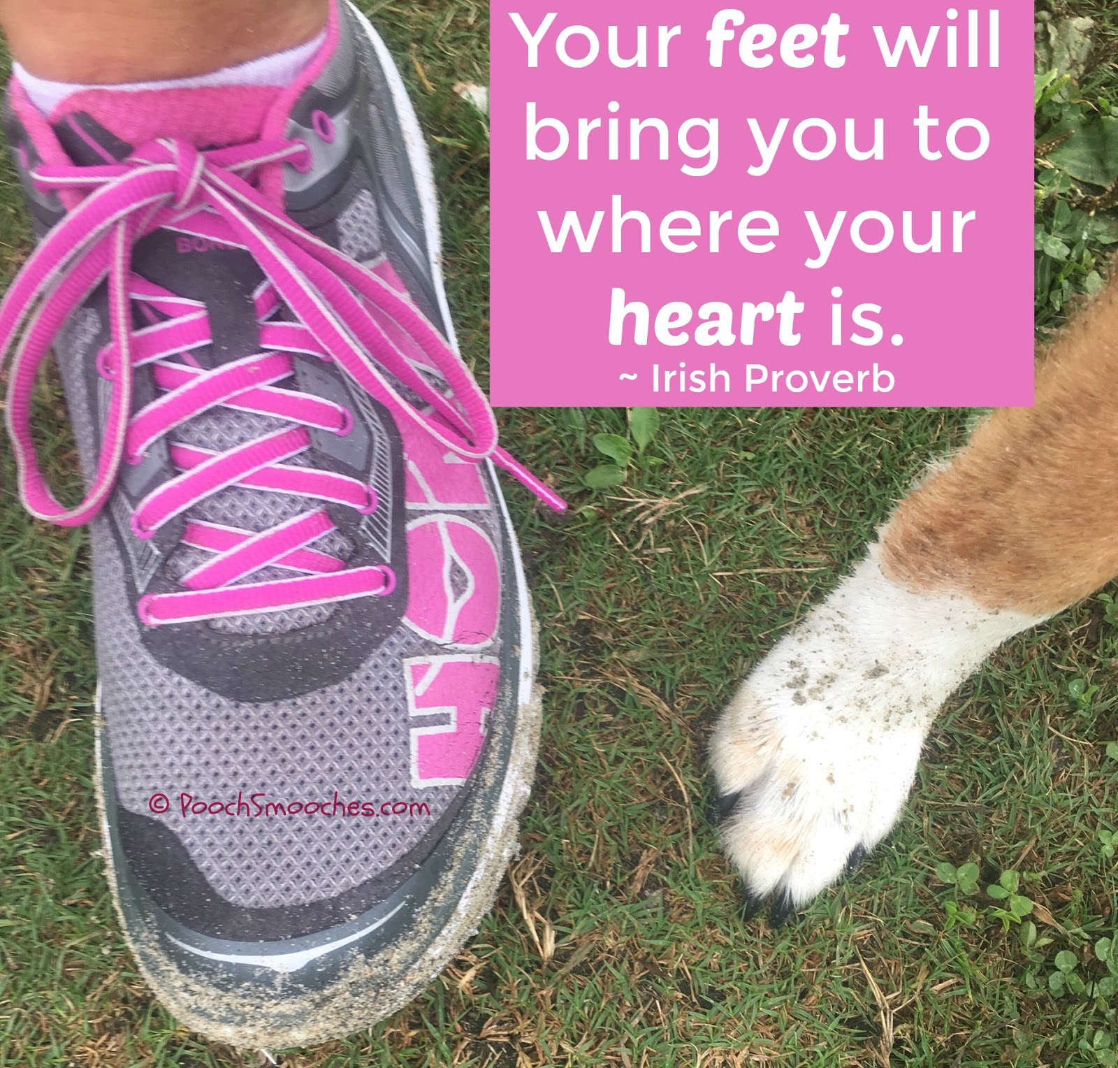 Pooch Smooches Wordless Wednesday Happy Feet