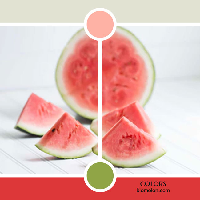 variedad en color color 20 variedad_en_color_color_20