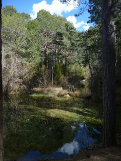 Río Cuervo Río Cuervo