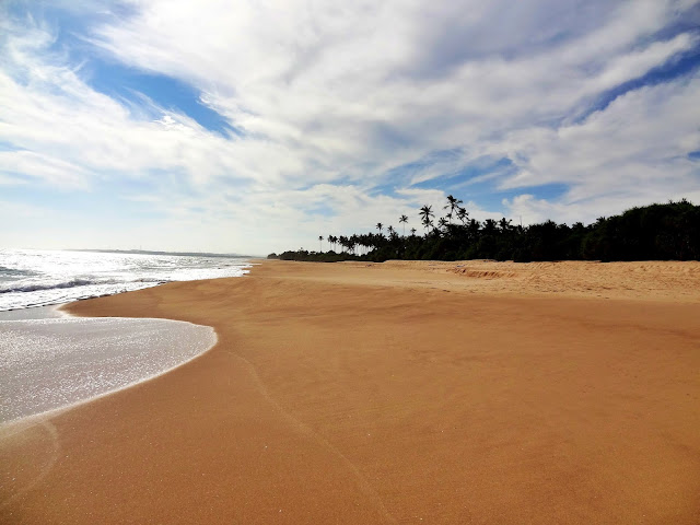 Kiedy najlepiej jechać na Sri Lankę? W jakich miesiącach pogoda na wyspie jest najlepsza? Kiedy omijać ją z daleka?