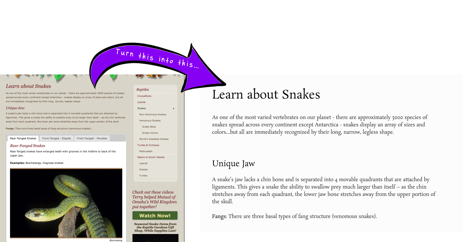 5 Chrome Extensions that Support Digital Comprehension Classroom
