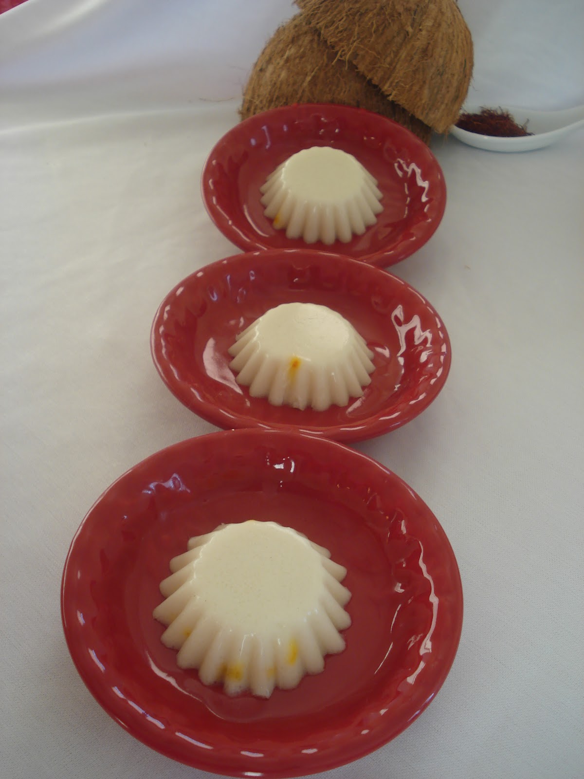 Coconut Pudding Desi Zayeka