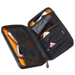 AmazonBasics Universal Travel Case for Small Electronics and Accessories -Black