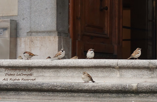 The Prado, Madrid Spain
