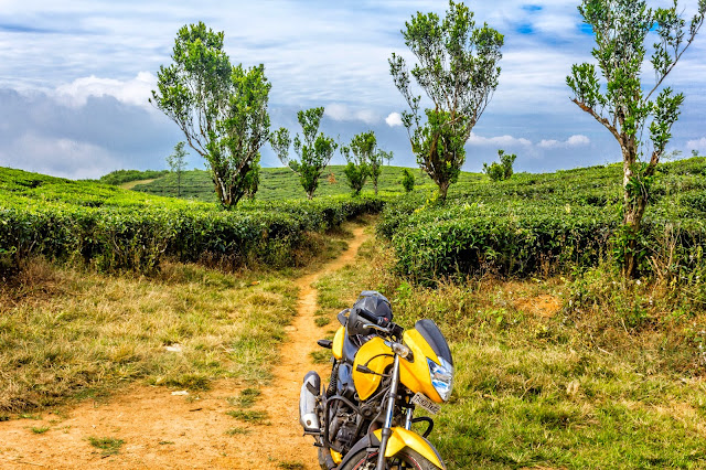 Route to number parai - walking track