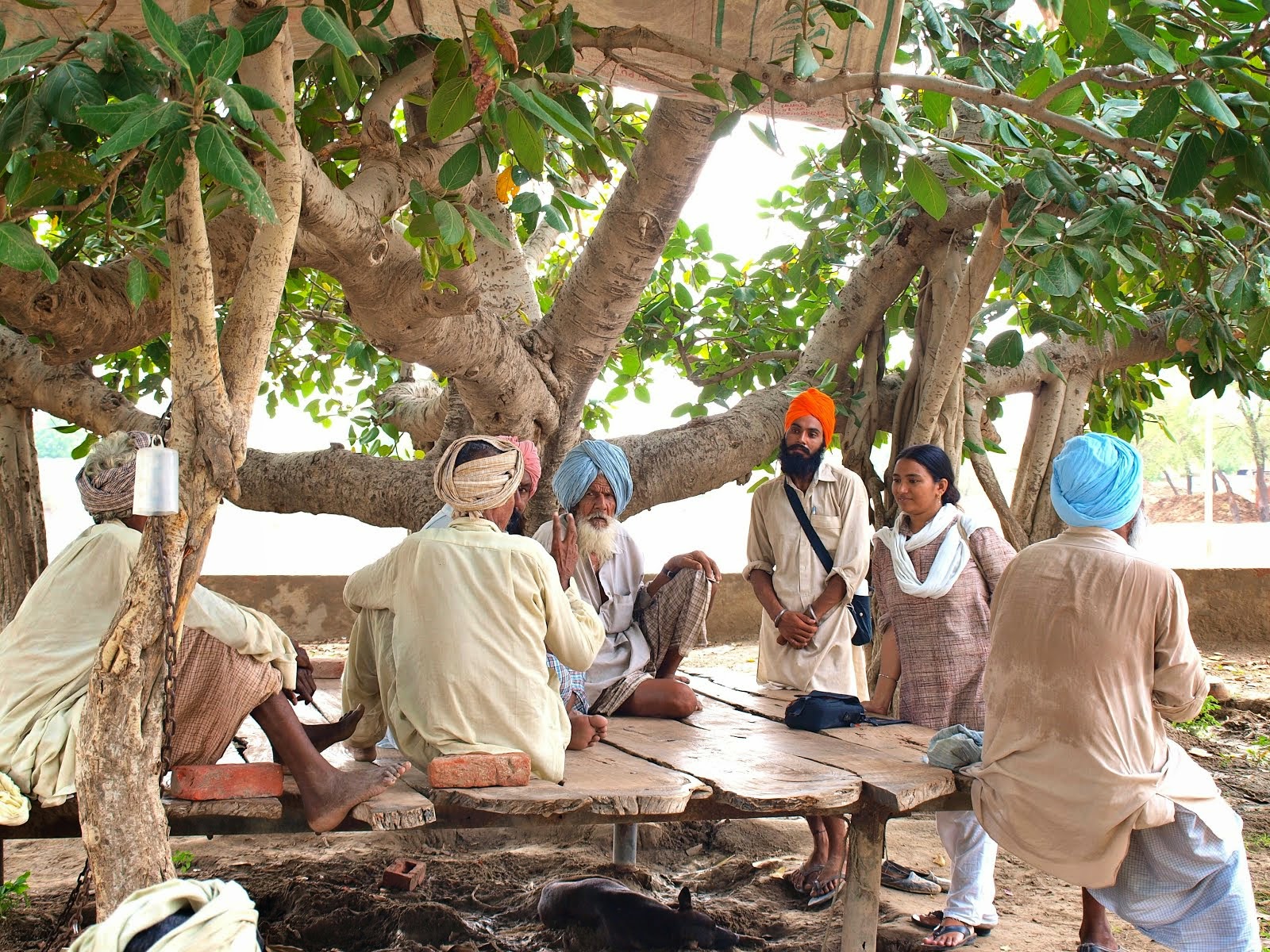 Images from a Village Parthala, Punjab
