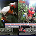 Jual Kaset Film Kamen Rider Amazon