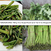 KANGKONG: Why it is Superfood and Yet it is Dangerous?