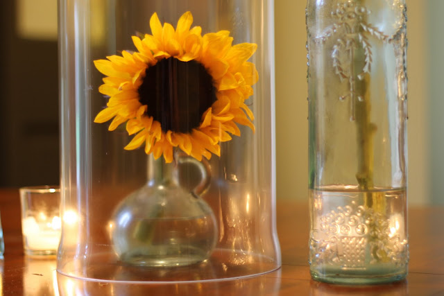 sunflower in vase