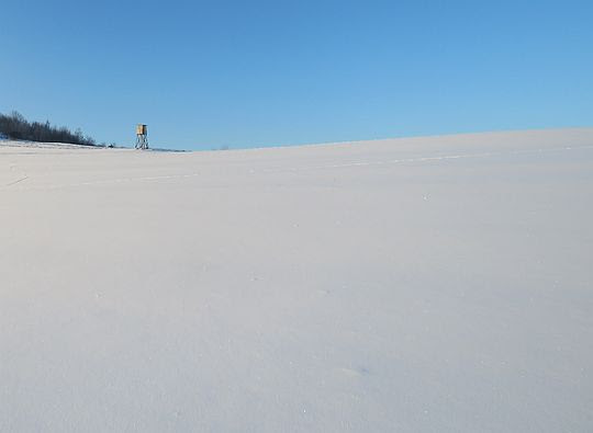 Bezkresna śnieżna pustynia. Bezkresna śnieżna pustynia.