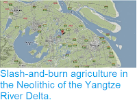 https://sciencythoughts.blogspot.com/2014/04/slash-and-burn-agriculture-in-neolithic.html