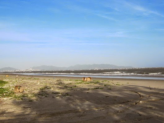 Bãi Biển Vũng Tàu - BÃI ĐỒI NHÁI